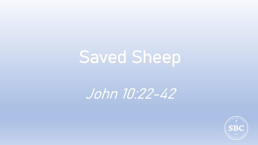 John 10:22-42 Saved Sheep